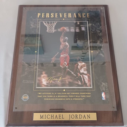 Michael Jordan Sports Illustrated Plaque